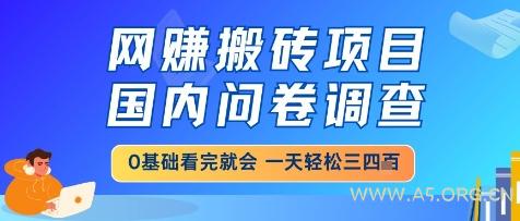网创搬砖项目,国内问卷调查,小白轻松上手,一天三四张的也不难,干就完了【揭秘】-A5资源网