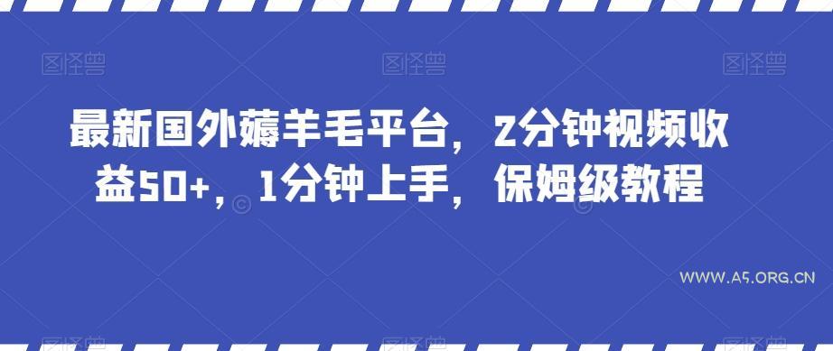 最新国外薅羊毛平台,2分钟视频收益50+,1分钟上手,保姆级教程【揭秘】-A5资源网