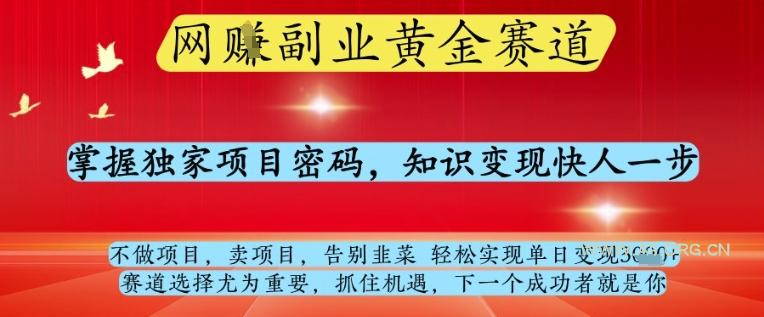 网创副业黄全赛道,掌握独家项目密码,知识变现快人一步,告别韭菜轻松实现单日变现1k+【揭秘】-A5资源网