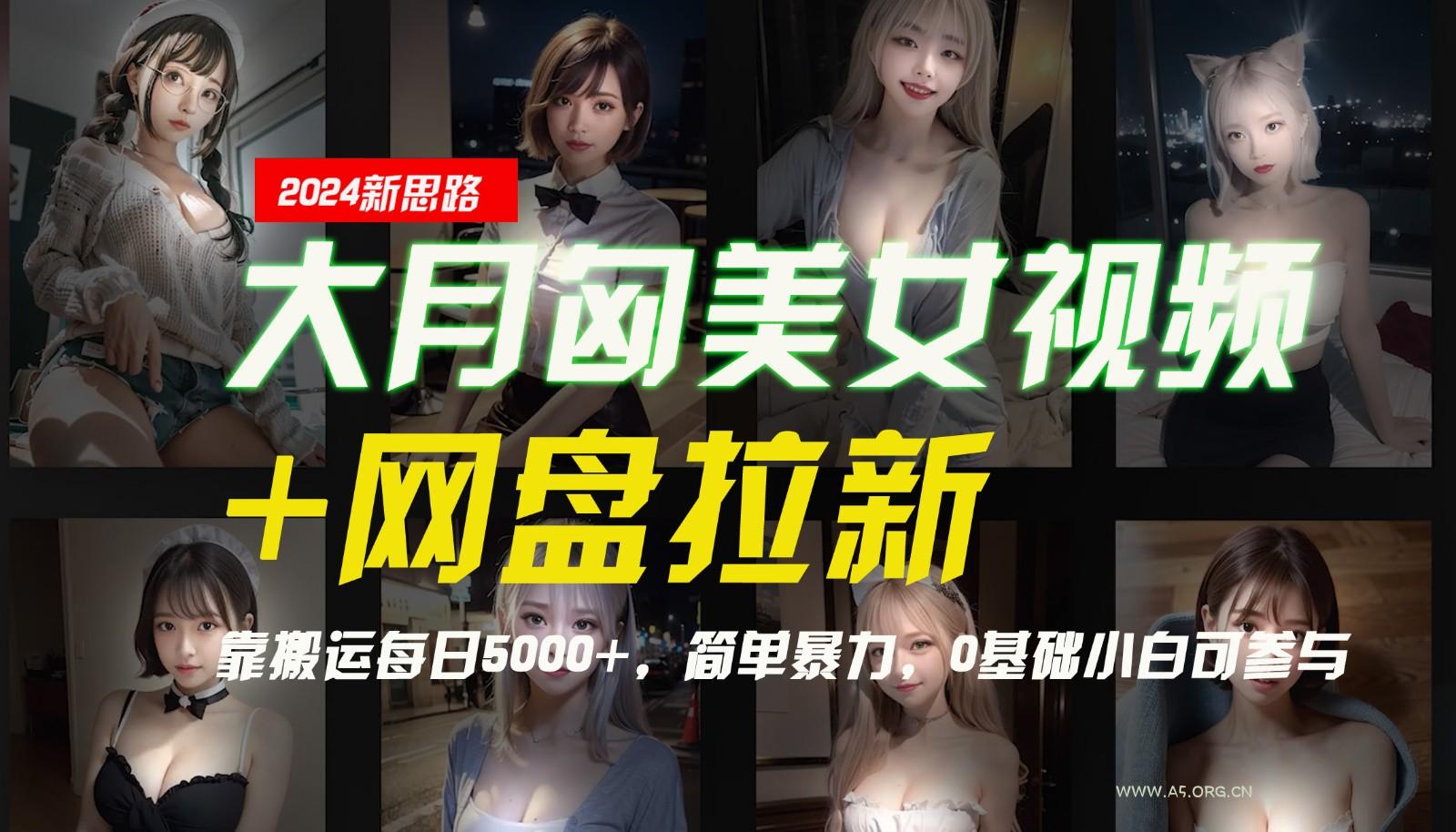 【新思路】大月匈美女视频+网盘拉新，靠搬运每日5000+，简单暴力，0基础小白可参与-A5资源网