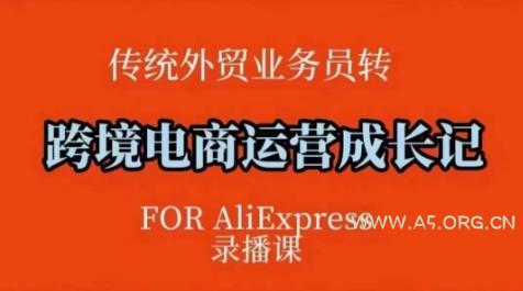 跨境电商速卖通运营课,运营方法论+后台实操,逻辑清晰-A5资源网