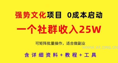 强势文化项目,一个社群收入25个W,0成本启动,可矩阵批量操作,原创详细实操教程-A5资源网