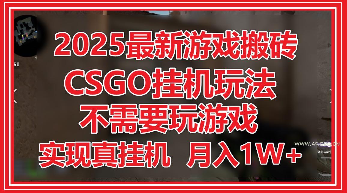 2025最新游戏搬砖,CSGO挂机,不需要玩游戏,实现真挂机,月入1W+-A5资源网