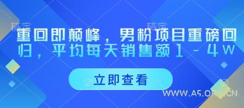 重回即颠峰,男粉项目重磅回归,平均每天销售额1-4W-A5资源网