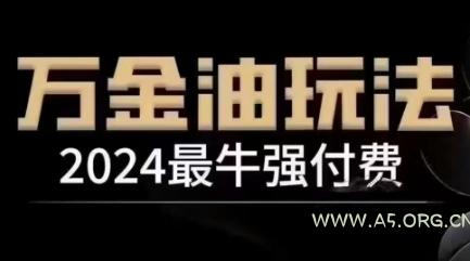 2024最牛强付费,万金油强付费玩法,干货满满,全程实操起飞(更新25年04月)-A5资源网