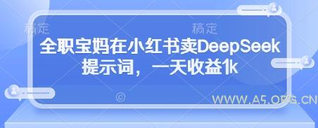 全职宝妈在小红书卖DeepSeek提示词,一天收益1k-A5资源网