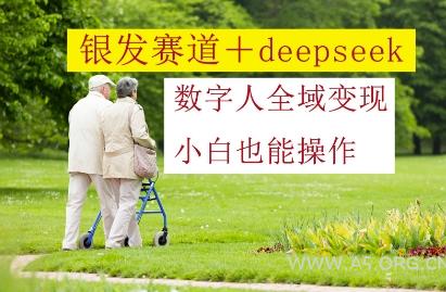 银发赛道+deepseek数字人全域变现,小白也能操作-A5资源网