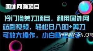 冷门撸美刀项目,利用国外网站刷视频,轻松日入80+美刀,可放大操作,小白随便上手-A5资源网