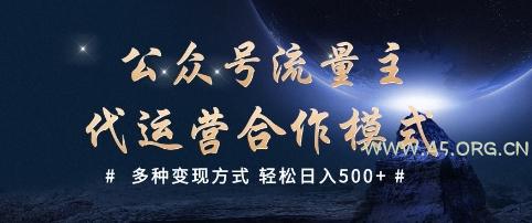 公众号流量主代运营  多种变现方式 轻松日入5张【揭秘】-A5资源网