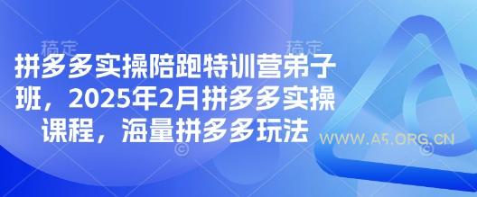 拼多多实操陪跑特训营弟子班,2025年2月拼多多实操课程,海量拼多多玩法-A5资源网