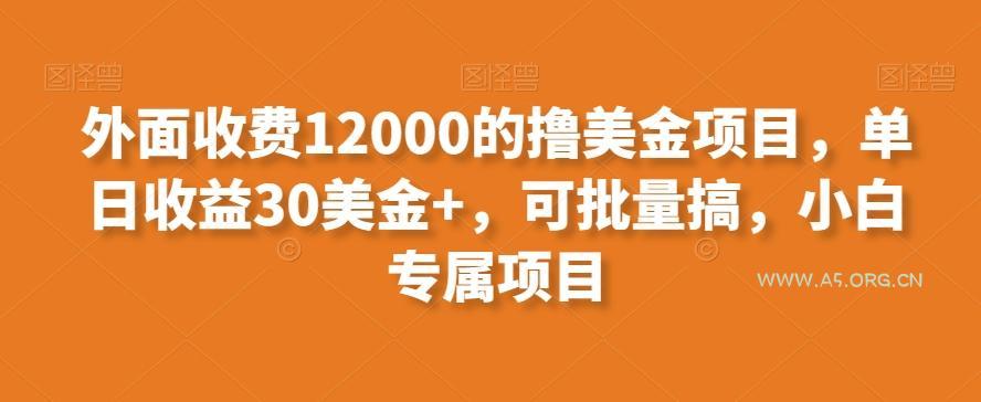 外面收费12000的撸美金项目,单日收益30美金+,可批量搞,小白专属项目-A5资源网