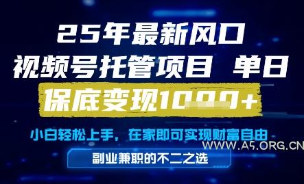25年最新风口,视频号托管项目,单日保底变现1k+,手把手教学【揭秘】-A5资源网