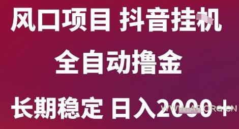 风口项目,六月最新玩法抖音无人挂G,全自动撸金,长期稳定 日入2k+【揭秘】-A5资源网
