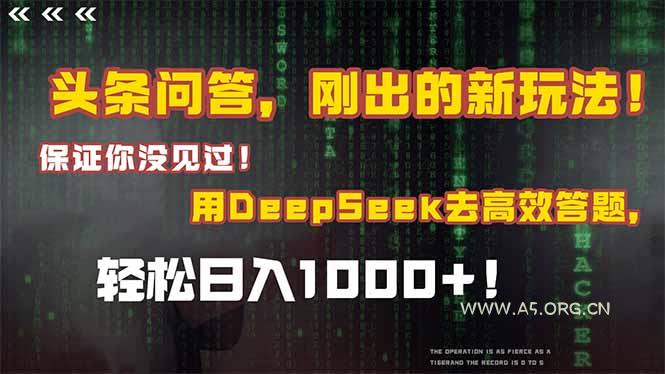 头条问答,刚出的新玩法!保证你没见过!结合Deepseek高效答题,日入1000+-A5资源网
