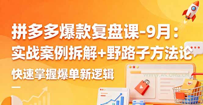 拼多多爆款复盘课-9月:实战案例拆解+野路子方法论,快速掌握爆单新逻辑-A5资源网
