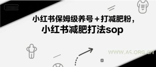 小红书保姆级养号+打减肥粉,小红书减肥打法sop-A5资源网