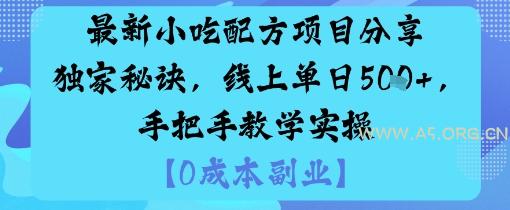 最新小吃配方项目分享独家秘诀,线上单日5张,手把手教学实操-A5资源网
