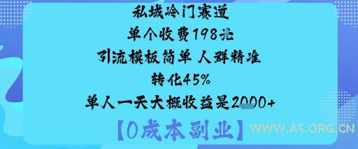 私域冷门赛道:单个收费198米引流模板简单人群精准转化45%单人一天大概收益是1k+-A5资源网