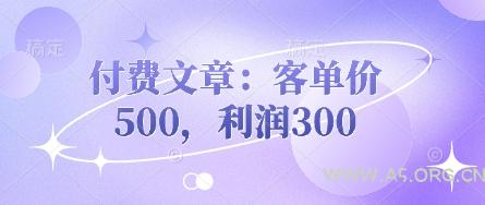 付费文章:客单价500,利润300-A5资源网