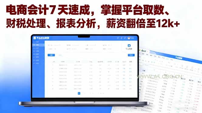 电商会计7天速成,掌握平台取数、财税处理、报表分析,薪资翻倍至12k+-A5资源网