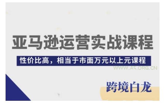 亚马逊运营实战课程,亚马逊从入门到精通,性价比高,相当于市面万元以上元课程-A5资源网