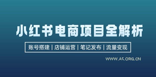 小红书电商项目全解析，包括账号搭建、店铺运营、笔记发布  实现流量变现-A5资源网