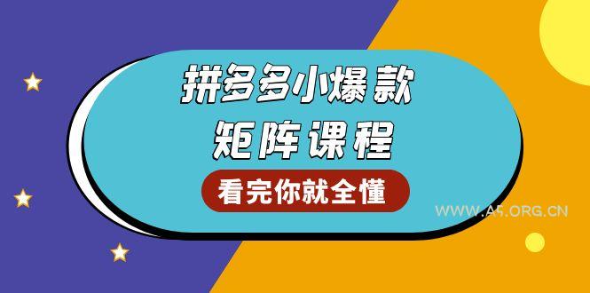 拼多多爆款矩阵课程:教你测出店铺爆款,优化销量,提升GMV,打造爆款群-A5资源网