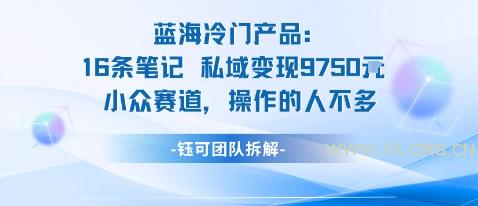 蓝海项目:16条笔记私域变现9750米小众赛道操作的人不多-A5资源网
