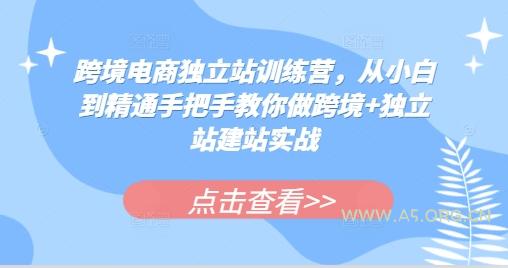 跨境电商独立站训练营,从小白到精通手把手教你做跨境+独立站建站实战-A5资源网