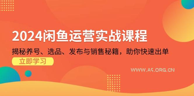 2024闲鱼运营实战课程:揭秘养号、选品、发布与销售秘籍,助你快速出单-A5资源网