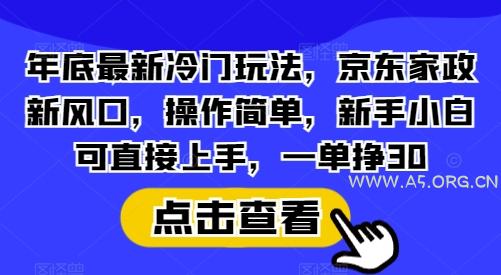 年底最新冷门玩法,京东家政新风口,操作简单,新手小白可直接上手,一单挣30【揭秘】-A5资源网