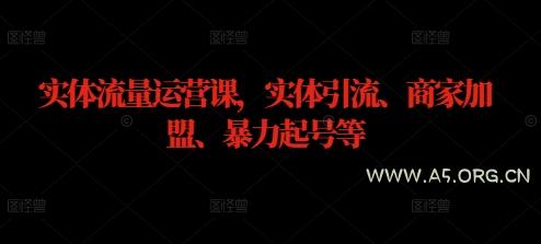 实体流量运营课,实体引流、商家加盟、暴力起号等-A5资源网