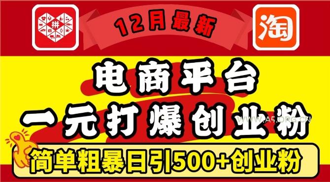 12月最新:电商平台1元打爆创业粉,简单粗暴日引500+精准创业粉,轻松月入过W【揭秘】-A5资源网