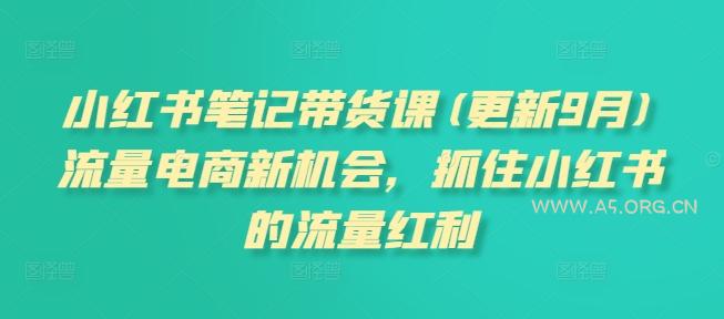 小红书笔记带货课(更新25年1月)流量电商新机会,抓住小红书的流量红利-A5资源网