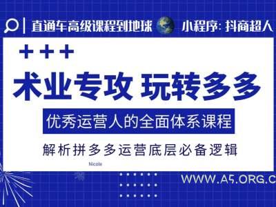 术业专攻玩转多多,优秀运营人的全面体系课程,解析拼多多运营底层必备逻辑-A5资源网
