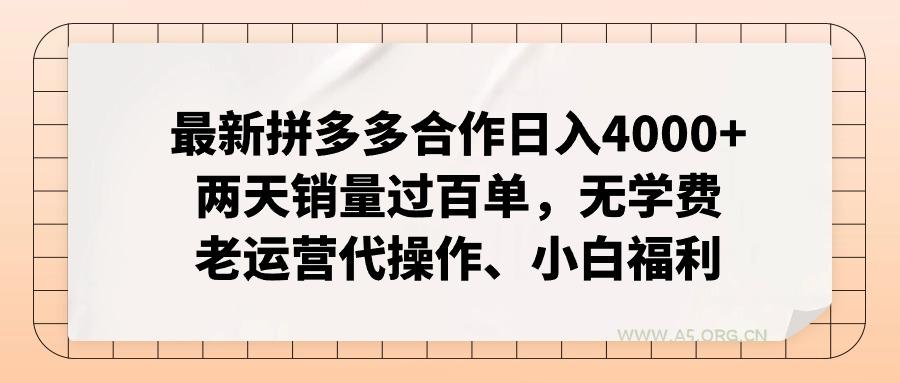 拼多多最新合作日入4000+两天销量过百单,无学费、老运营代操作、小白福利-A5资源网