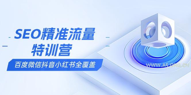 SEO精准流量特训营,百度微信抖音小红书全覆盖,带你搞懂搜索优化核心技巧-A5资源网