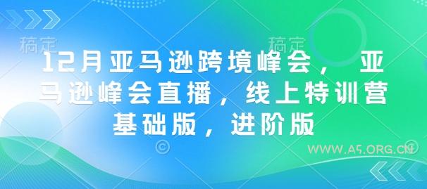 12月亚马逊跨境峰会, 亚马逊峰会直播,线上特训营基础版,进阶版-A5资源网