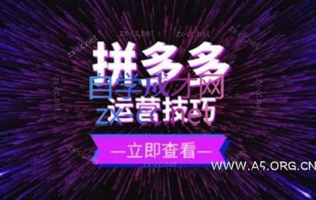 力辛电商·拼多多强付费店群玩法-A5资源网