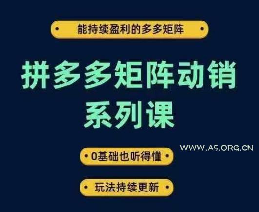 拼多多矩阵动销系列课,能持续盈利的多多矩阵,0基础也听得懂,玩法持续更新-A5资源网