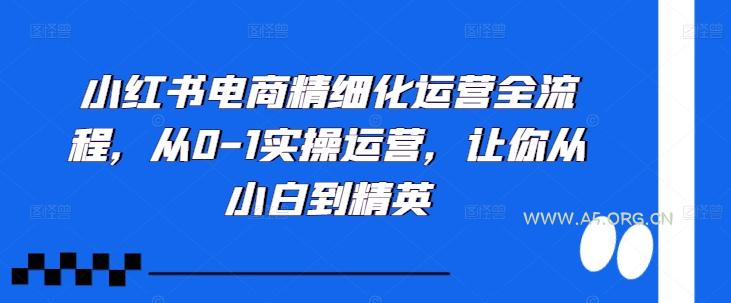 小红书电商精细化运营全流程,从0-1实操运营,让你从小白到精英-A5资源网