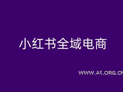 小红书全域电商,小红书电商教程-A5资源网