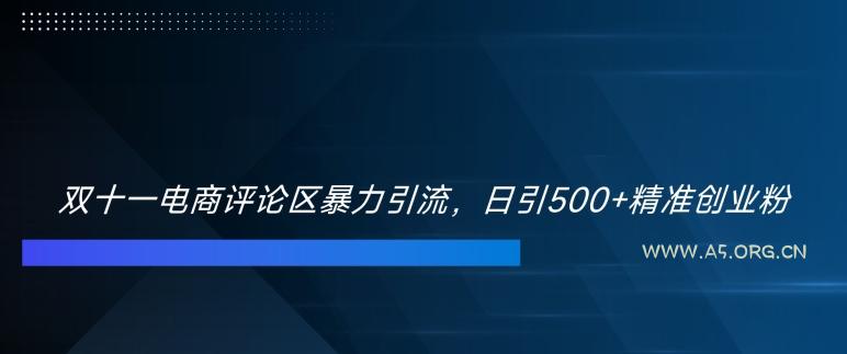 双十一电商评论区暴力引流,日引500+精准创业粉【揭秘】-A5资源网