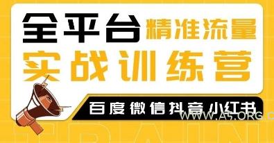 全平台精准流量实战训练营，百度微信抖音小红书SEO引流教程-A5资源网