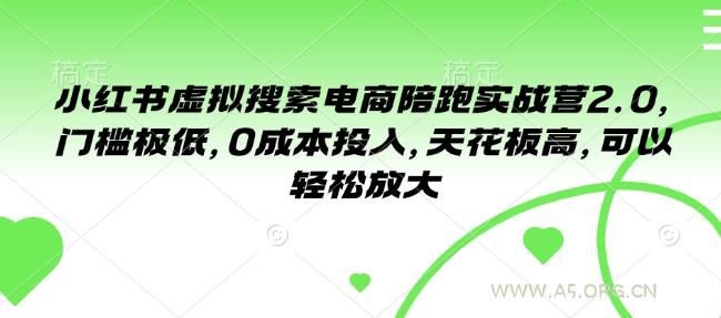 小红书虚拟搜索电商陪跑实战营2.0,门槛极低,0成本投入,天花板高,可以轻松放大-A5资源网