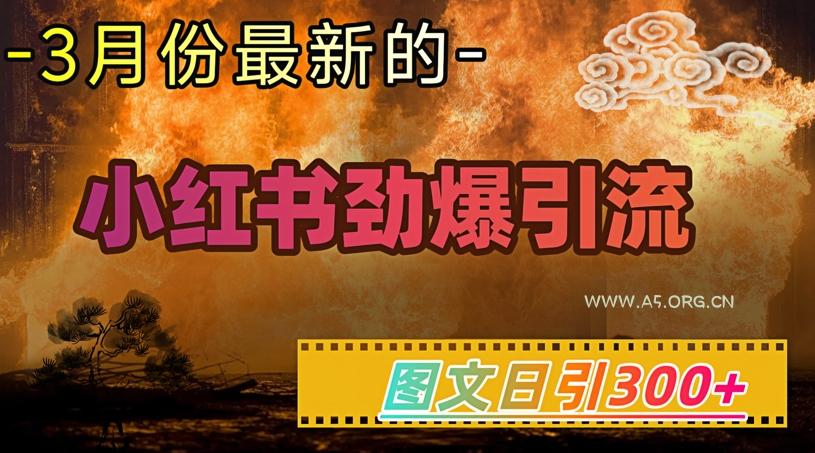 小红书超劲爆引流手段,图文日引300+轻松变现1W-A5资源网