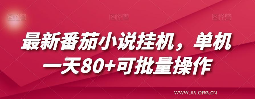 最新番茄小说挂机,单机一天80+可批量操作【揭秘】-A5资源网