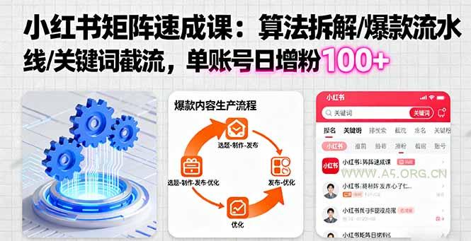 小红书矩阵起号速成课:算法拆解/爆款流水线/关键词截流 单账号日增粉100+-A5资源网