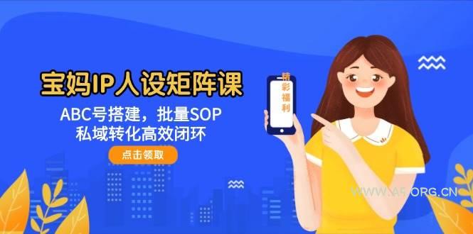 宝妈IP人设矩阵课:ABC号搭建,批量SOP,私域转化高效闭环-A5资源网