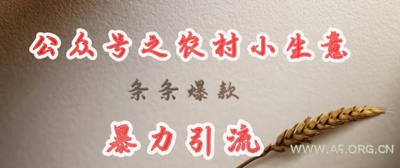 deepseek写农村小项目,条条爆款,暴力引流-A5资源网